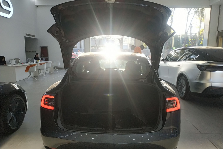 特斯拉 Model 3(进口) 2019款 Performance高性能全轮驱动版机舱底盘23