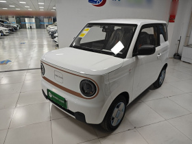 吉利银河 2024款 熊猫mini 200km 耐力熊