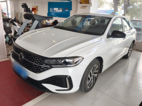 大众 朗逸 2024款 300TSI DSG星空领先版