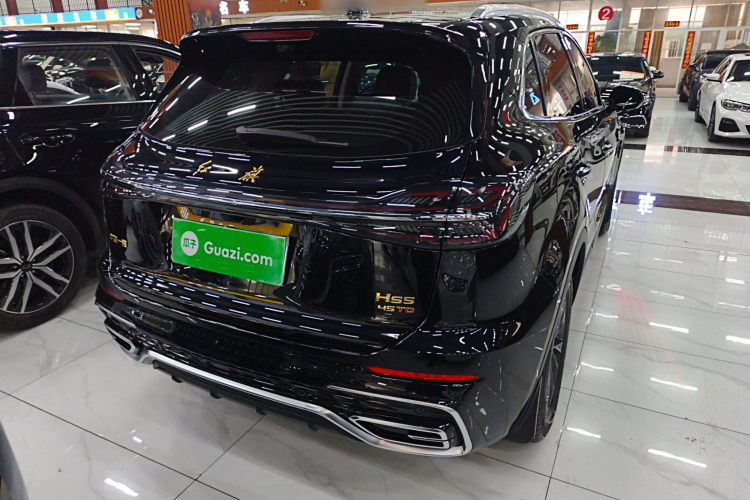 红旗HS5 2025款 2.0T 两驱60万辆纪念版车身外观7
