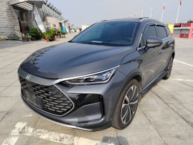 比亚迪 唐新能源 2022款 DM-p 215KM 四驱尊享型