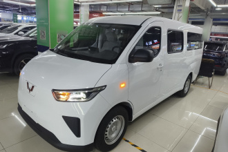 五菱汽车 五菱扬光 2024款 300KM 舒适型客车版 75kW