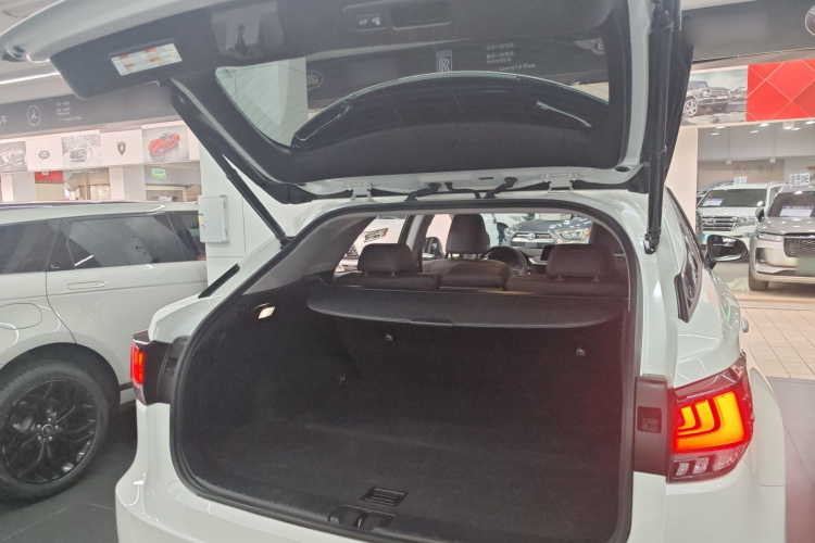 雷克萨斯RX  改款 450h 四驱典雅版局部细节23