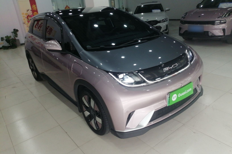 比亚迪 海豚 2023款 401km 骑士版车身外观6002