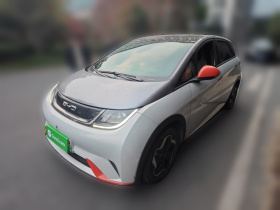 比亚迪 海豚 2021款 405km 时尚版