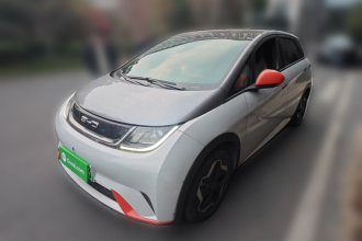 比亚迪 海豚 2021款 405km 时尚版