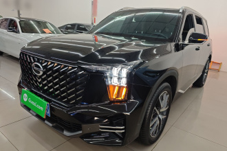 广汽传祺 传祺GS8 2022款 领航系列 2.0TGDI 两驱豪华智联版（七座）