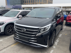 广汽传祺 传祺M8 2023款 领秀系列 390T 尊贵版