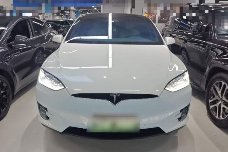 特斯拉 Model X 2019款 长续航版车身外观2