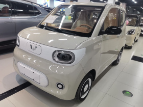 五菱汽车 宏光MINIEV 2024款 第三代 215km 青春版