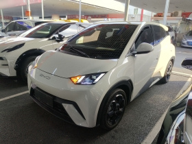 比亚迪 海鸥 2023款 自由版