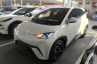 比亚迪 海鸥 2023款 自由版