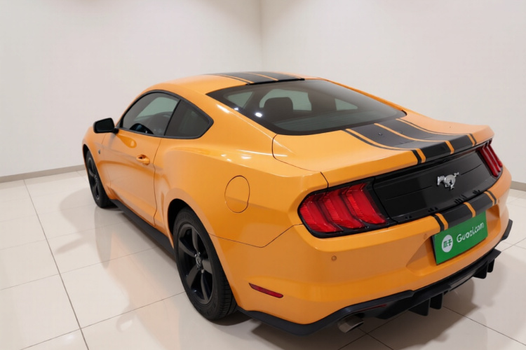 SHELBY GTE 2018款 2.3T 基础版车身外观5