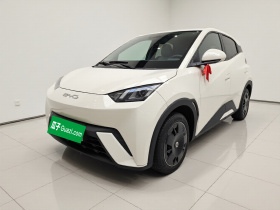 比亚迪 海鸥 2023款 活力版