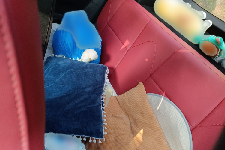 零跑汽车 零跑S01 2019款 380 Pro中控内饰7004