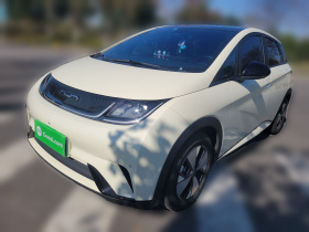 比亚迪 海豚 2023款 420km 时尚版