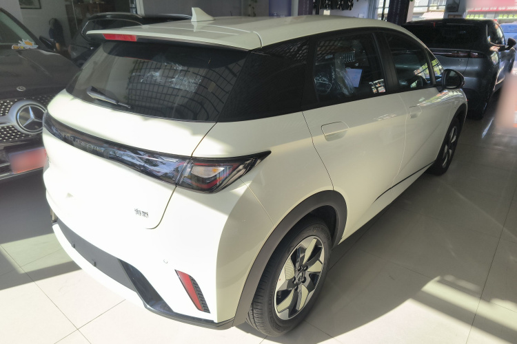 比亚迪 海豚 2025款 420km 自由版车身外观7