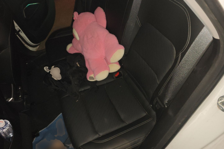 吉利汽车 帝豪 2022款 第4代 1.5L CVT尊贵型中控内饰21