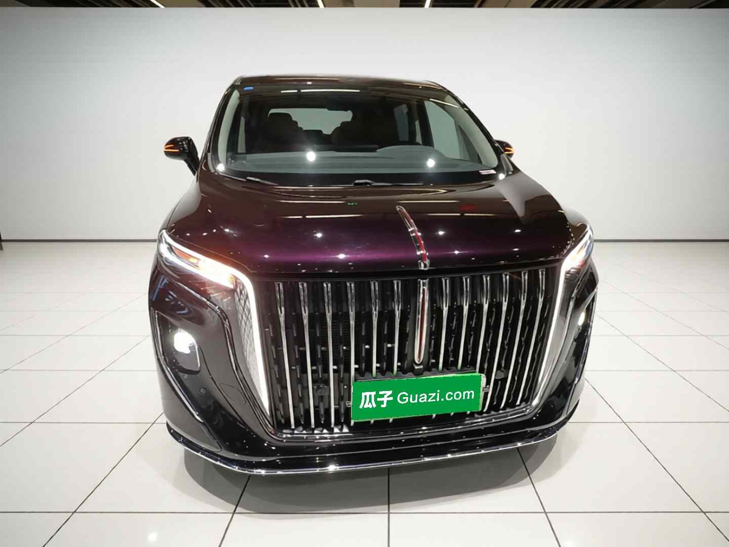 红旗HQ9 PHEV 2024款 2.0T 四驱商务版(1)