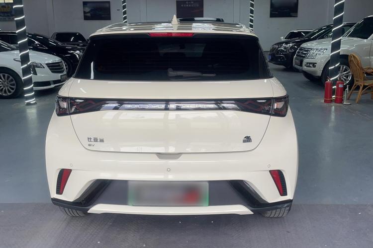 比亚迪 海豚 2023款 420km 时尚版车身外观6004