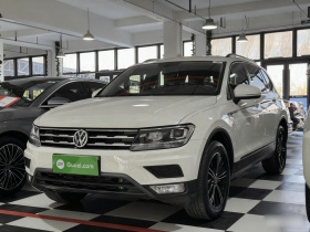 大众 途观L 2019款 330TSI 自动两驱风尚版 国VI