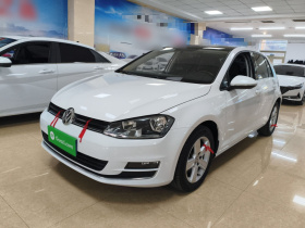 大众 高尔夫 2016款 230TSI 自动舒适型