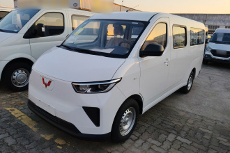 五菱汽车 五菱扬光 2024款 300KM 舒适型客车版 75kW