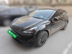 特斯拉 Model Y 2024款 后轮驱动版