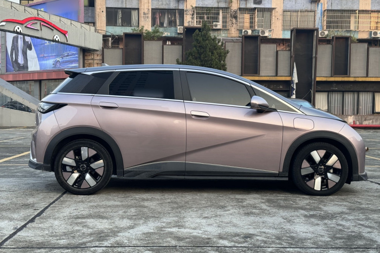 比亚迪 海豚 2021款 401km 骑士版车身外观6007