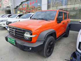 坦克300 2021款 越野版 2.0T 征服者