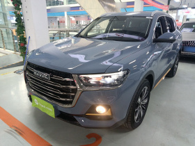 哈弗H6 2021款 国潮版 1.5GDIT 自动豪华版