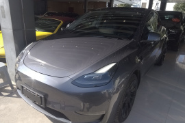 特斯拉 Model Y 2021款 长续航全轮驱动版