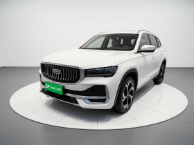 吉利汽车 星越L 2021款 2.0TD DCT EVO两驱尊贵型