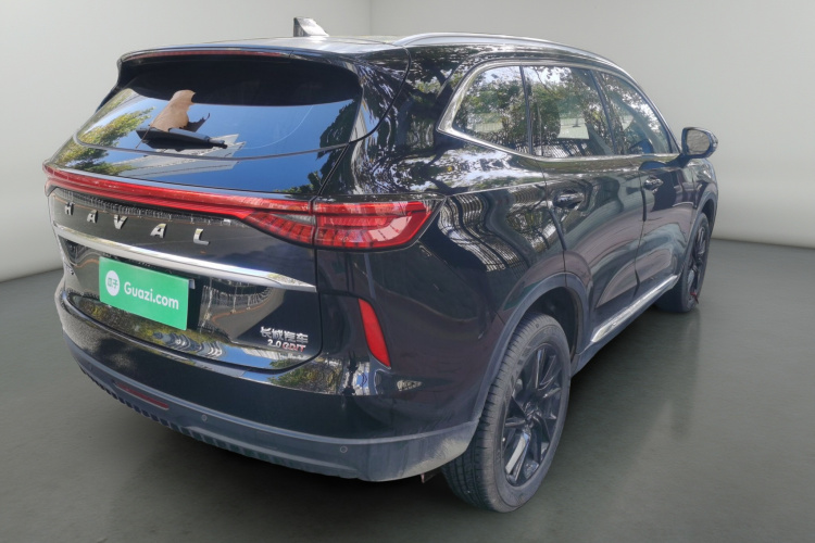 哈弗H6 2024款 2.0T 两驱Max车身外观7