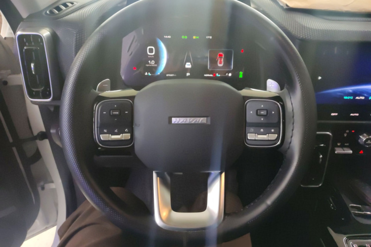 哈弗大狗 2021款 1.5T DCT两驱边牧版局部细节13