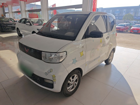 五菱汽车 宏光MINIEV 2020款 自在款 磷酸铁锂