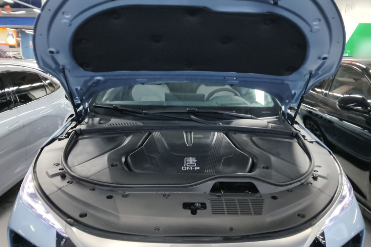 比亚迪 唐新能源 2024款 DM-p 冠军版 215KM 四驱旗舰型局部细节24