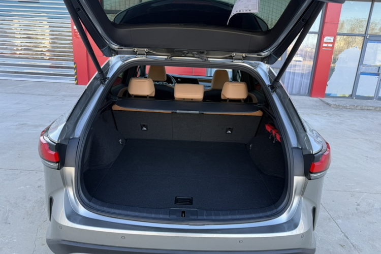 雷克萨斯RX 2023款 350h 两驱悦享版局部细节23