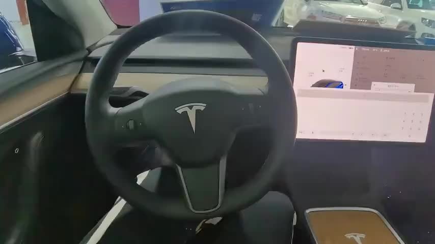 特斯拉 Model 3 2019款 标准续航后驱升级版实拍1