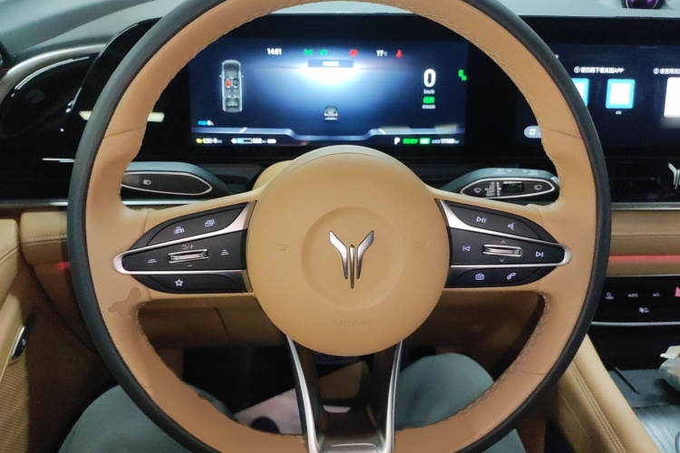 岚图汽车 岚图梦想家 2022款 低碳版 想+智驾包局部细节13