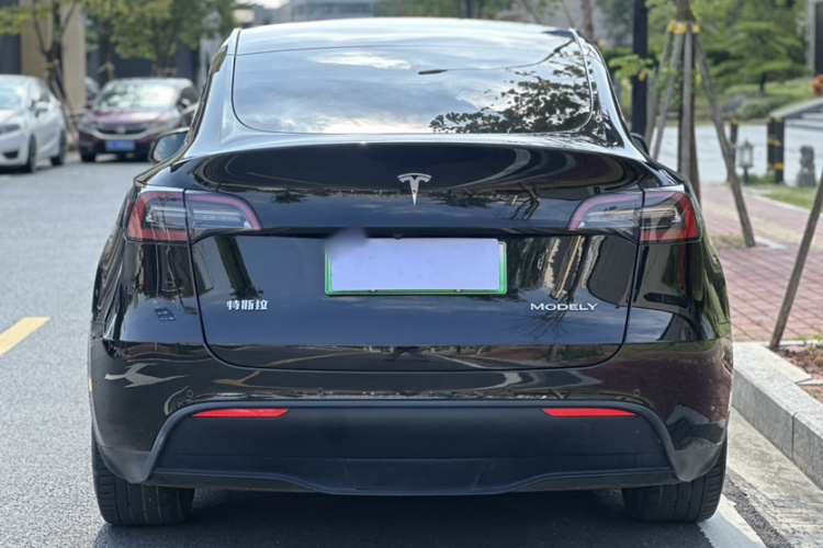 特斯拉 Model Y 2021款 标准续航后驱版车身外观6006