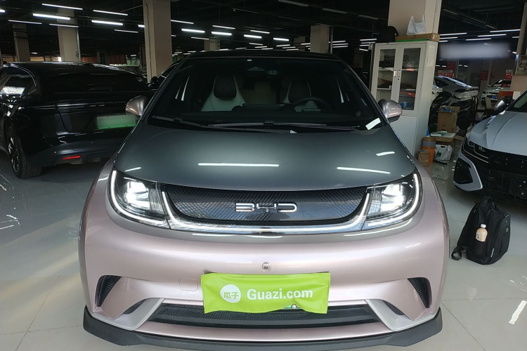 比亚迪 海豚 2021款 401km 骑士版车身外观2