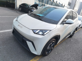 比亚迪 海鸥 2024款 荣耀版 305km 自由版