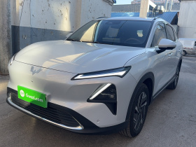 五菱汽车 五菱星光S 2024款 130km 旗舰型