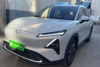 五菱汽车 五菱星光S 2024款 130km 旗舰型