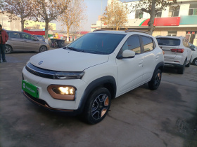 东风纳米EX1 2023款 PRO 轻风版闪电型