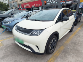 比亚迪 海豚 2021款 405km 时尚版