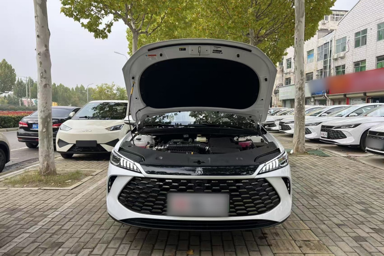 比亚迪 秦PLUS 2025款 DM-i 智驾版 55KM领先型车身外观6002