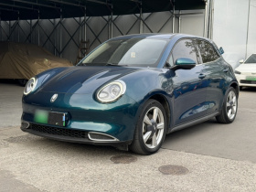 欧拉好猫 2021款 400km标准续航 维纳斯版 磷酸铁锂