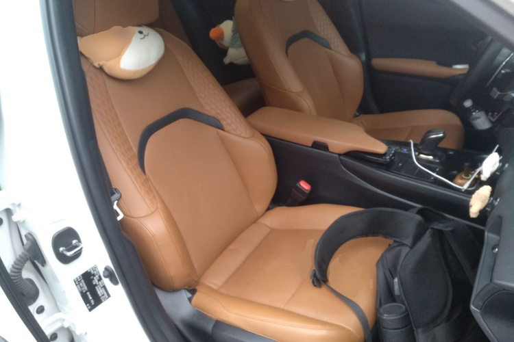 雷克萨斯UX新能源 2020款 300e 纯·悦版局部细节41